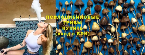 мет Арсеньев