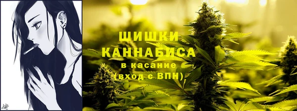 мет Арсеньев