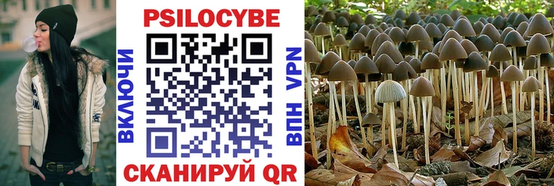 Галлюциногенные грибы Magic Shrooms  hydra маркетплейс  Полевской 